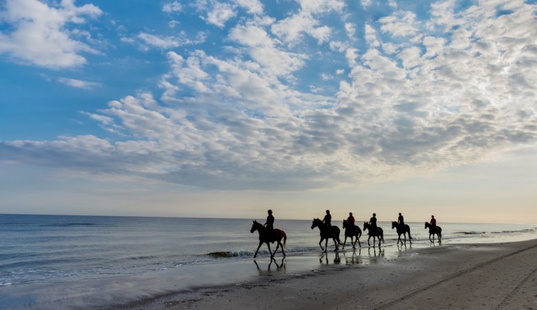 Horseback Beach Ride <span>with professional instructors</span> - 3 - Wroclaw Tours